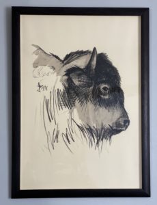 Tête de bison