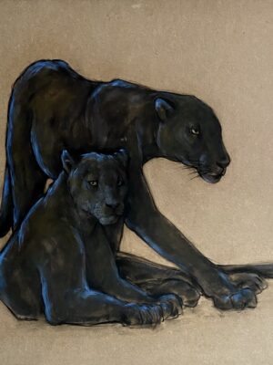deux pantheres noires Denoud