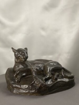 jaguar bronze